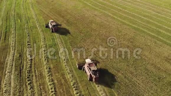 两辆白色驾驶室屋顶的红色收割机在干燥的阳光天气下在农场收获谷物扔碎稻草视频的预览图