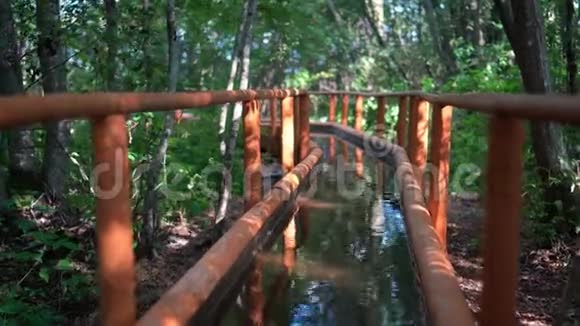 森林中有栏杆的冷水渠疾病预防健康路径视频的预览图