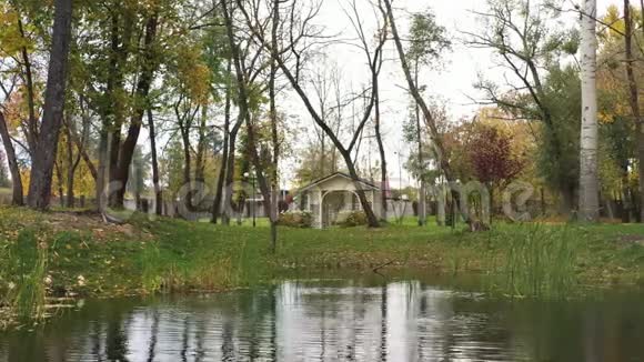 在秋天的公园里在湖上缓慢飞行岸上有木树视频的预览图