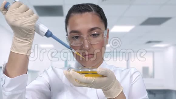 一位女实验室技术人员用微型吸管和放在桌子旁的培养皿检查一个黄色液体的样本视频的预览图