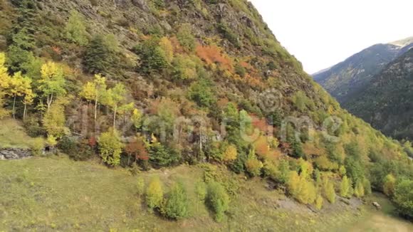 秋天的欧洲比利牛斯森林一架无人机在4K拍摄到五颜六色的风景视频的预览图
