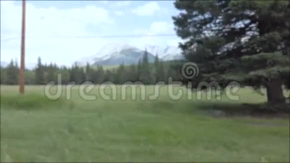 绿色农田从移动汽车视频的预览图