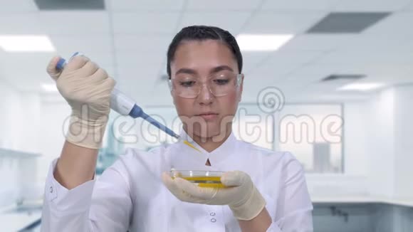 一位女科学家用微型吸管和培养皿检查黄色液体女性研究员视频的预览图