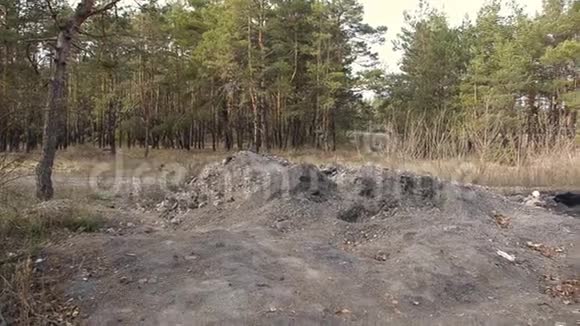 足迹森林污染在树林里倒垃圾视频的预览图