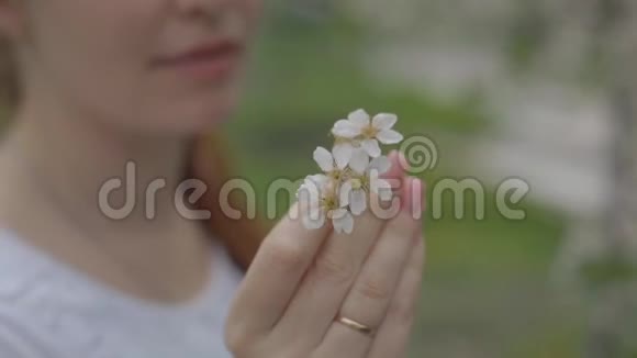 一个女人手触碰树上的一朵花视频的预览图