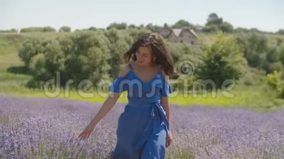 女人轻轻地把手伸向薰衣草的花朵视频的预览图