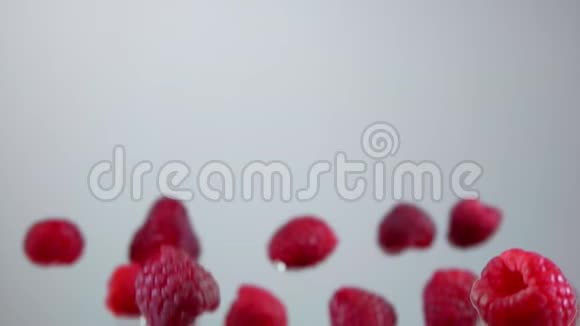 成熟的覆盆子在白色背景上跳跃视频的预览图
