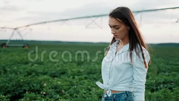 一个穿着短裤的年轻农民女孩在阳光下穿过田野现代农业快乐青年和视频的预览图