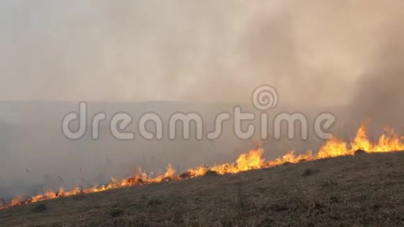 身穿制服的消防队员在火灾的背景上去年烧老干草很多烟都是从视频的预览图
