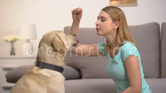 快乐的女人训练狗给食物教宠物吠叫纪律视频的预览图