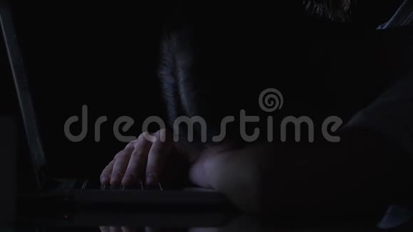 女人睡在笔记本电脑键盘上在夜班上无聊的工作直到凌晨4点视频的预览图