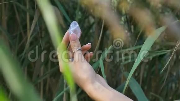 雌手拿着紫水晶的尤尼蛋在河底妇女健康与自然观的统一视频的预览图
