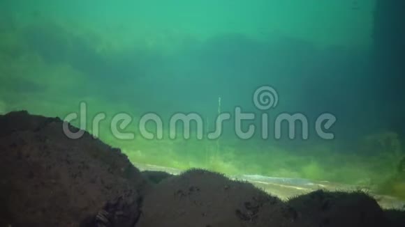 阳光的照耀和反射海底的射线背景中的海藻黑海视频的预览图