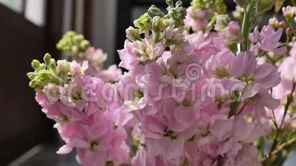 粉红色的花植在绿色的老式花瓶里视频的预览图