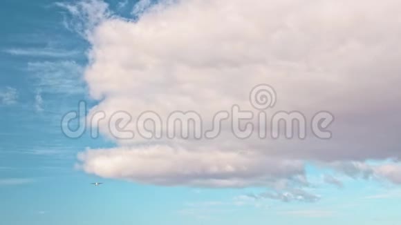 涡轮螺旋桨飞机从远处飞过相机运输货物运输交付的概念视频的预览图