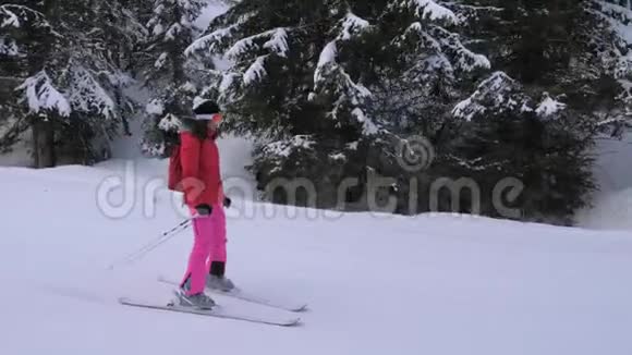 女子在松林间的山坡滑雪手挽着手视频的预览图
