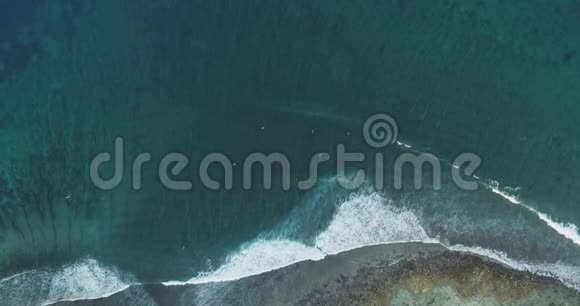 自上而下的空中拍摄生动的海滨沙滩和椰树海岸线上的鸟瞰野生绿松石和热带岛屿视频的预览图