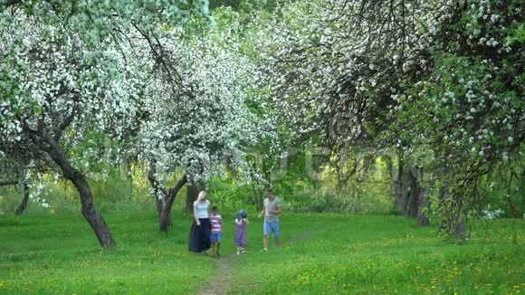 在春天的公园里一家人穿过盛开的树木静态射击视频的预览图
