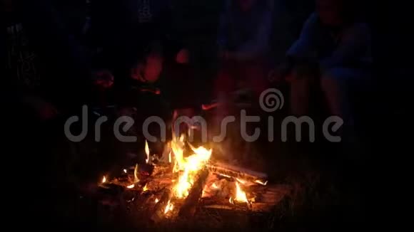 欧洲家庭坐在火边煎肉香肠被戳在树枝上视频的预览图