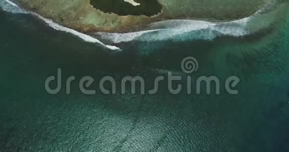 自上而下的空中拍摄生动的海滨沙滩和椰树海岸线上的鸟瞰野生绿松石和热带岛屿视频的预览图