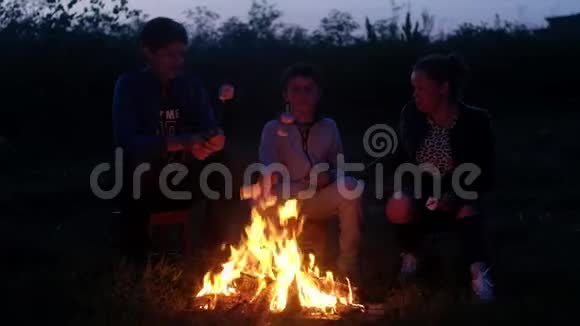白种人的母亲两个儿子坐在椅子上熊熊燃烧着棉花糖视频的预览图