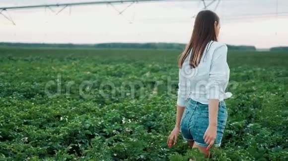 穿着短裤的年轻农家女孩在阳光下穿过田野现代农耕快乐青春与职业理念有机磷视频的预览图