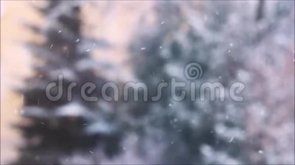 树雪落下来视频的预览图