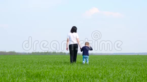 母亲牵着儿子的手在一片绿色的田野上对抗蓝天幸福的家庭关心和母性旅费视频的预览图