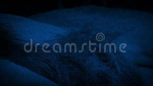 夜间睡狮体视频的预览图