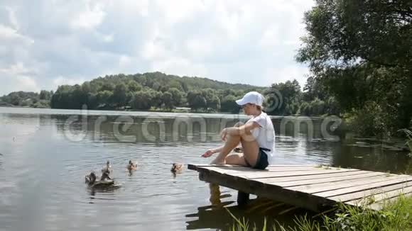 在一个美丽的夏日美丽的女孩在池塘里喂鸭子和天鹅的水鸟视频的预览图