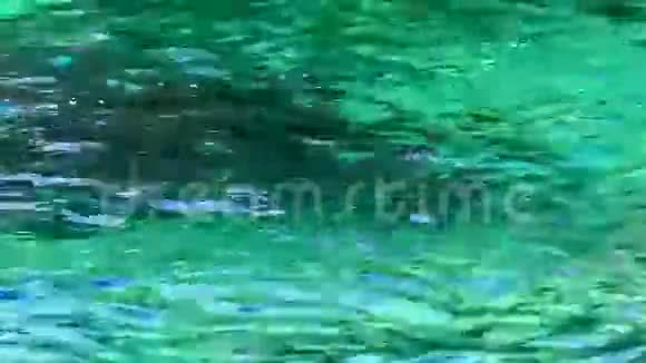 带绿松石水的热带海滩视频的预览图