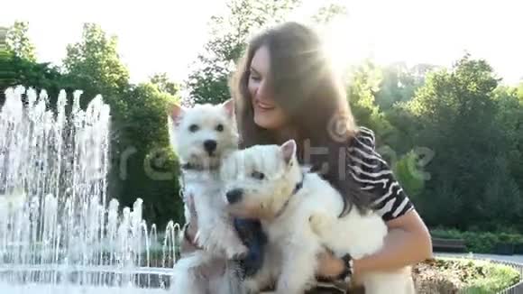 快乐的女人手里拿着宠物狗靠近公园的喷泉手持射击视频的预览图