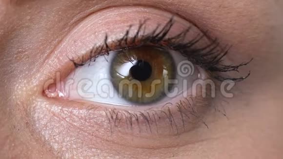 女性眼部特写视力检查抗过敏化妆品眼科视频的预览图