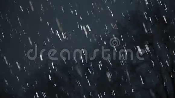 晚上下大雨视频的预览图