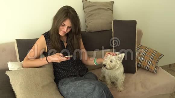 女人在沙发上用智能手机抚摸她的狗宠物手持视频的预览图