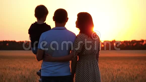 幸福的一家人看着夕阳站在麦田上抱着孩子的男人女人拥抱男人亲吻他视频的预览图