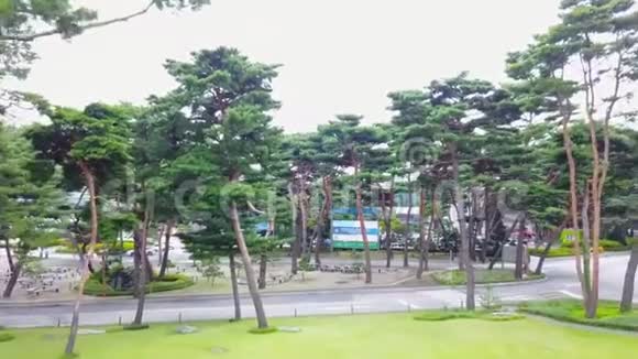 树木与绿色草坪之间建筑物的美丽鸟瞰图视频的预览图