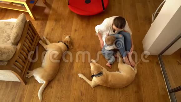女人和她的小儿子男孩和两只最好的朋友狗躺在地板上手持视频的预览图