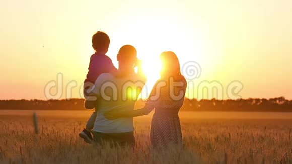 一个男人一个女人和一个孩子站在麦田上手指指向日落父亲把他的儿子抱在怀里视频的预览图