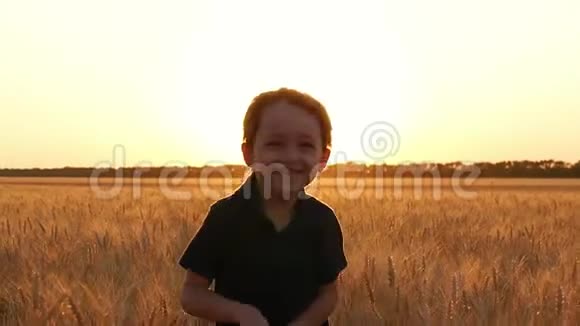 一个快乐的笑孩子的肖像日落时分一个可爱的小男孩在麦田的背景下奔跑视频的预览图
