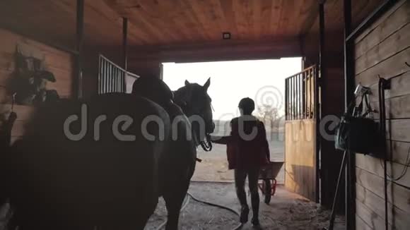 骑手从马厩里出来牵着马作为向导在日落时从马厩里出来动物护理概念视频的预览图