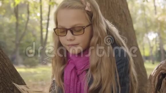 快乐的年轻白人少女戴着彩色眼镜数着钱微笑着坐在树上视频的预览图