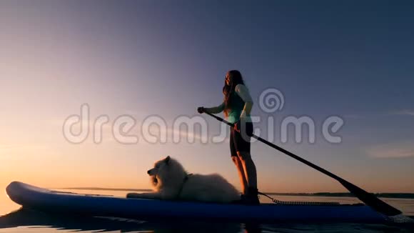 年轻的女人和一条狗在河上一起觅食视频的预览图
