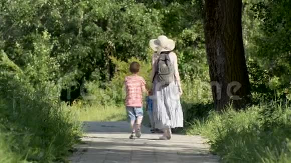 妈妈和两个儿子在一个绿色公园里沿着小巷散步夏日阳光明媚背面视频的预览图