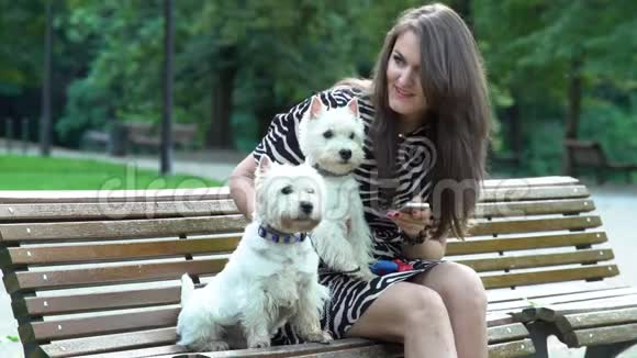 女人和两只坐在公园长凳上的动物狗说话静态射击视频的预览图