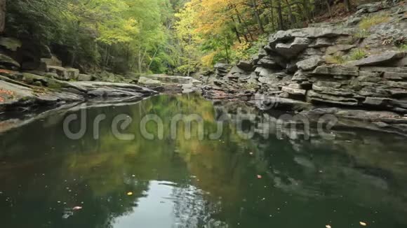 宁静的河流远处飘落着秋叶视频的预览图