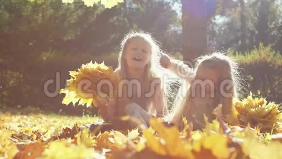 快乐的双胞胎姐妹在秋天的公园里坐在地上一边笑着收集黄叶视频的预览图