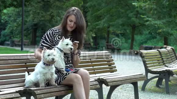 女人和两只漂亮的宠物狗坐在长凳上用智能手机视频的预览图