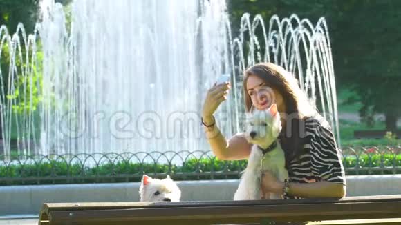 女式自拍与两只可爱的狗宠物附近公园喷泉慢动作视频的预览图