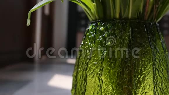 粉红色的植物和绿色的叶子在老式花瓶里视频的预览图